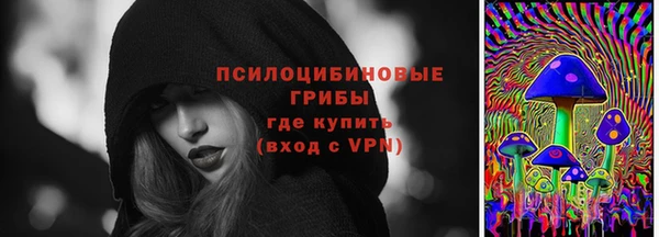 шишки Заводоуковск