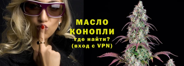 шишки Заводоуковск