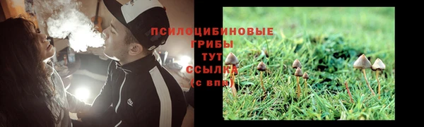 spice Заволжье