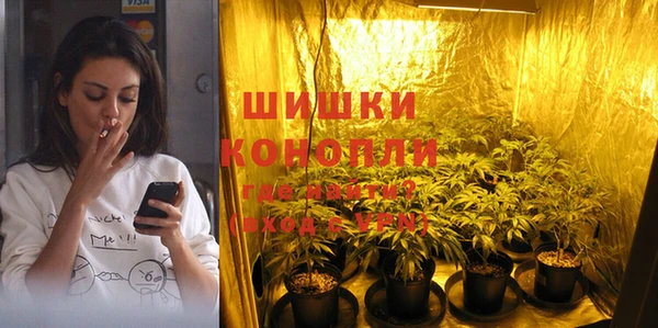 шишки Заводоуковск