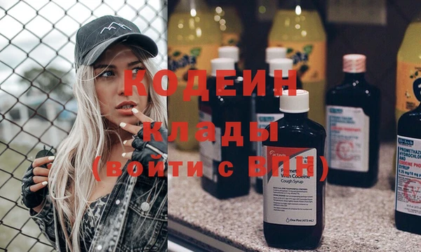 шишки Заводоуковск