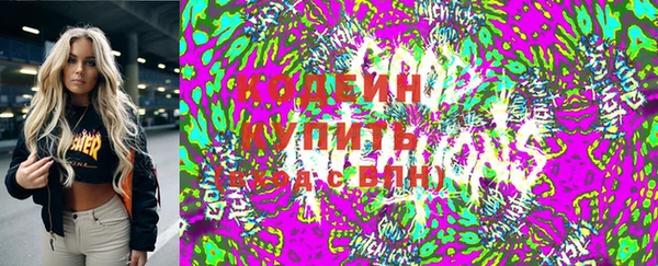 шишки Заводоуковск