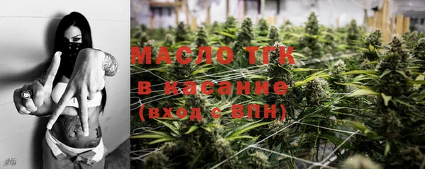 шишки Заводоуковск