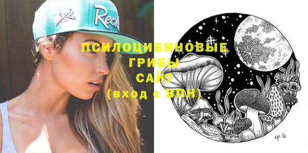шишки Заводоуковск