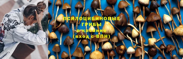 ПСИЛОЦИБИНОВЫЕ ГРИБЫ Заволжск