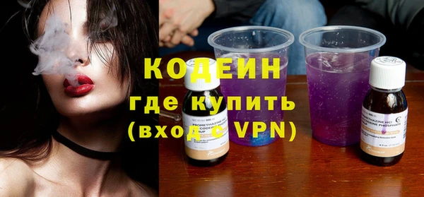 шишки Заводоуковск