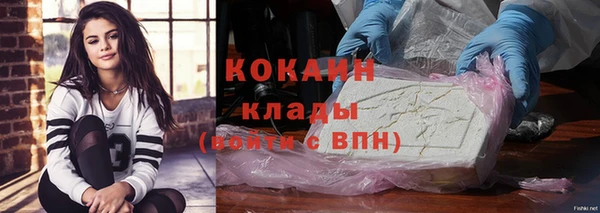 шишки Заводоуковск